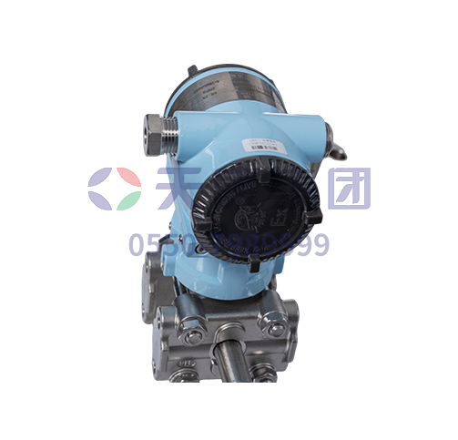 雙法蘭液位變送器